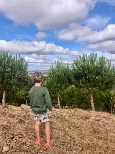Embracing Nature: A Family's Journey Beyond Urban Life