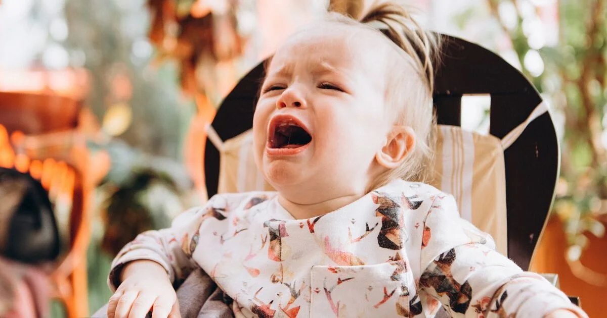 Heat Stroke in Babies and Children: Fever, Irritability... 4 Signs of Dehydration During a Heatwave (and Not Just Fatigue)