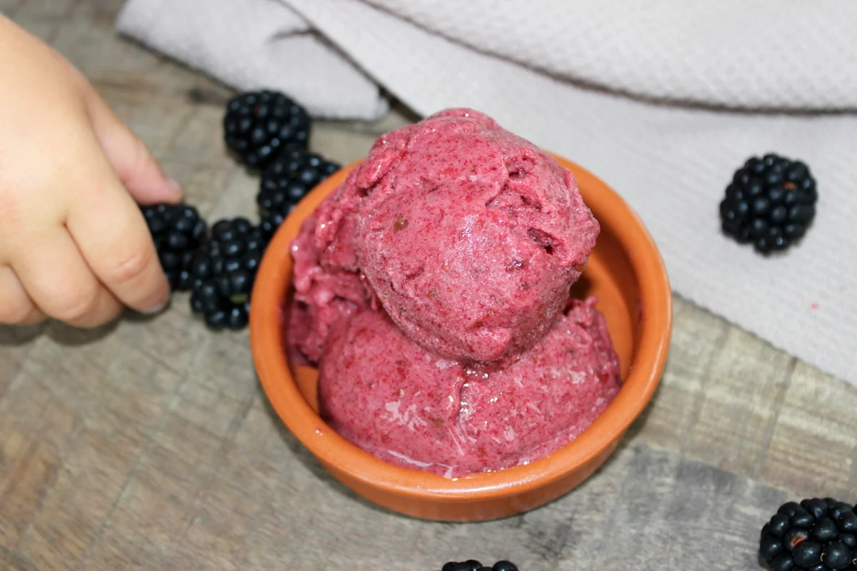 Homemade Sugar-Free Ice Cream: 7 Recipes for a Guilt-Free Treat