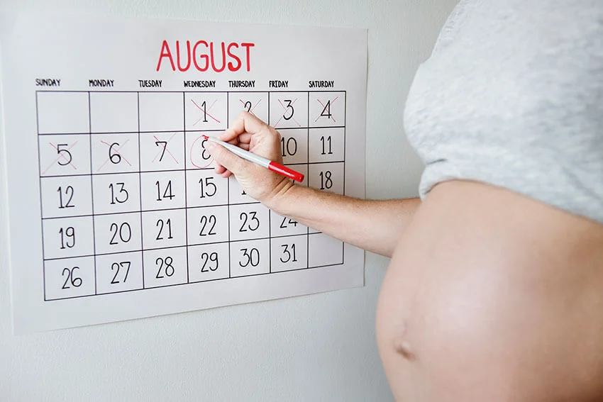 Estimated Due Date Calculator (EDD) | Oh Mama Matrona